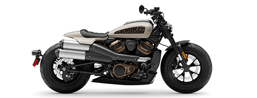 Sportster S